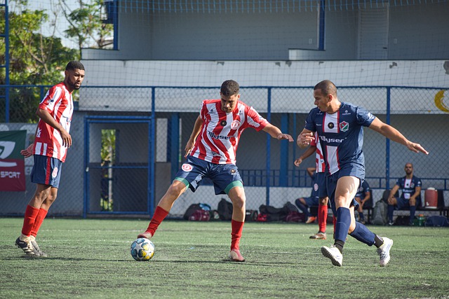 花的攻击模 花的攻击模