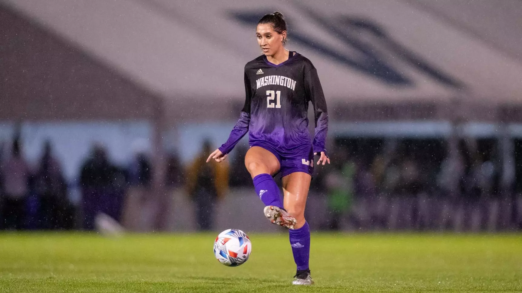 的人才储备 的人才储备