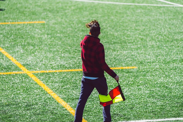 的主要原因 的主要原因