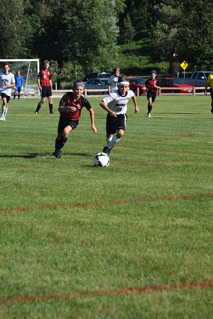 确实是一个 确实是一个